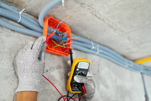 Best Home Electrical Repair  in Flora, IL